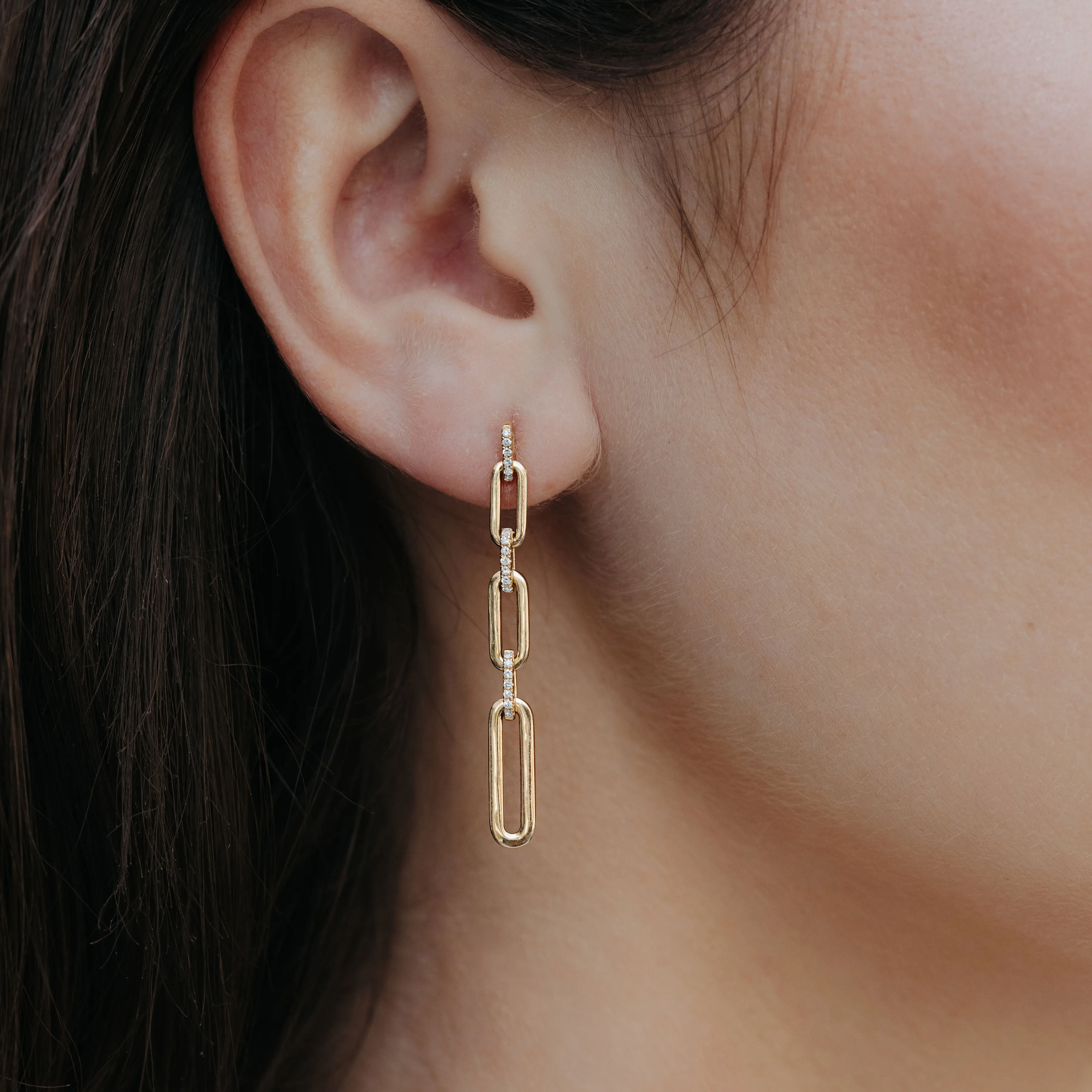 Alternating Diamond & Paperclip Links Earrings