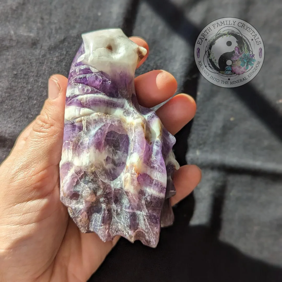 Dream Amethyst Dragon Head Carving ~ Chevron Amethyst ~ Dreamy Vibes