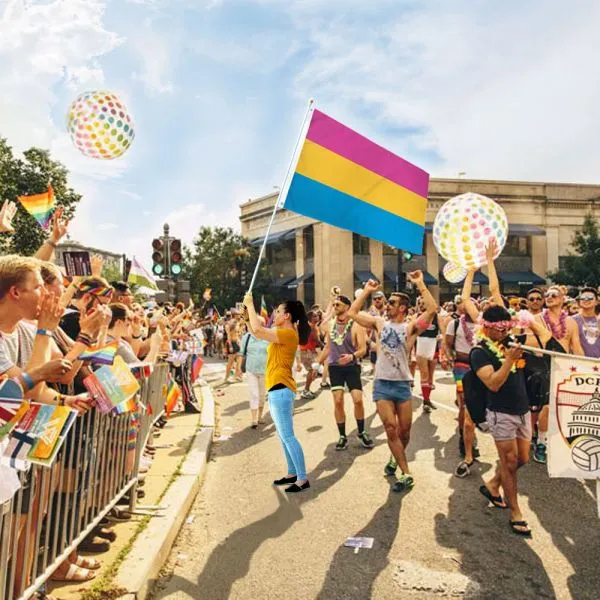 Flag - Pansexual 3x5 ft.