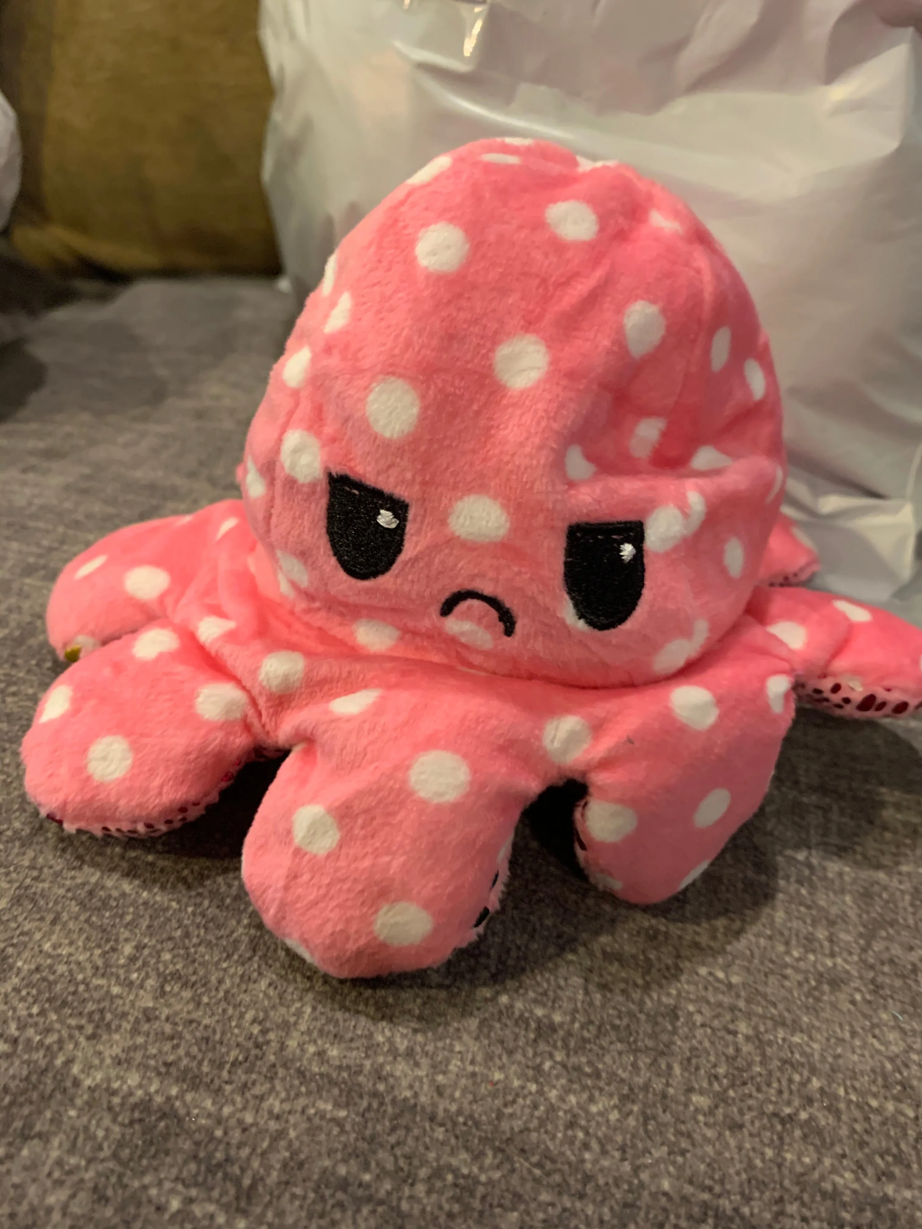 Polka Dot Octupus