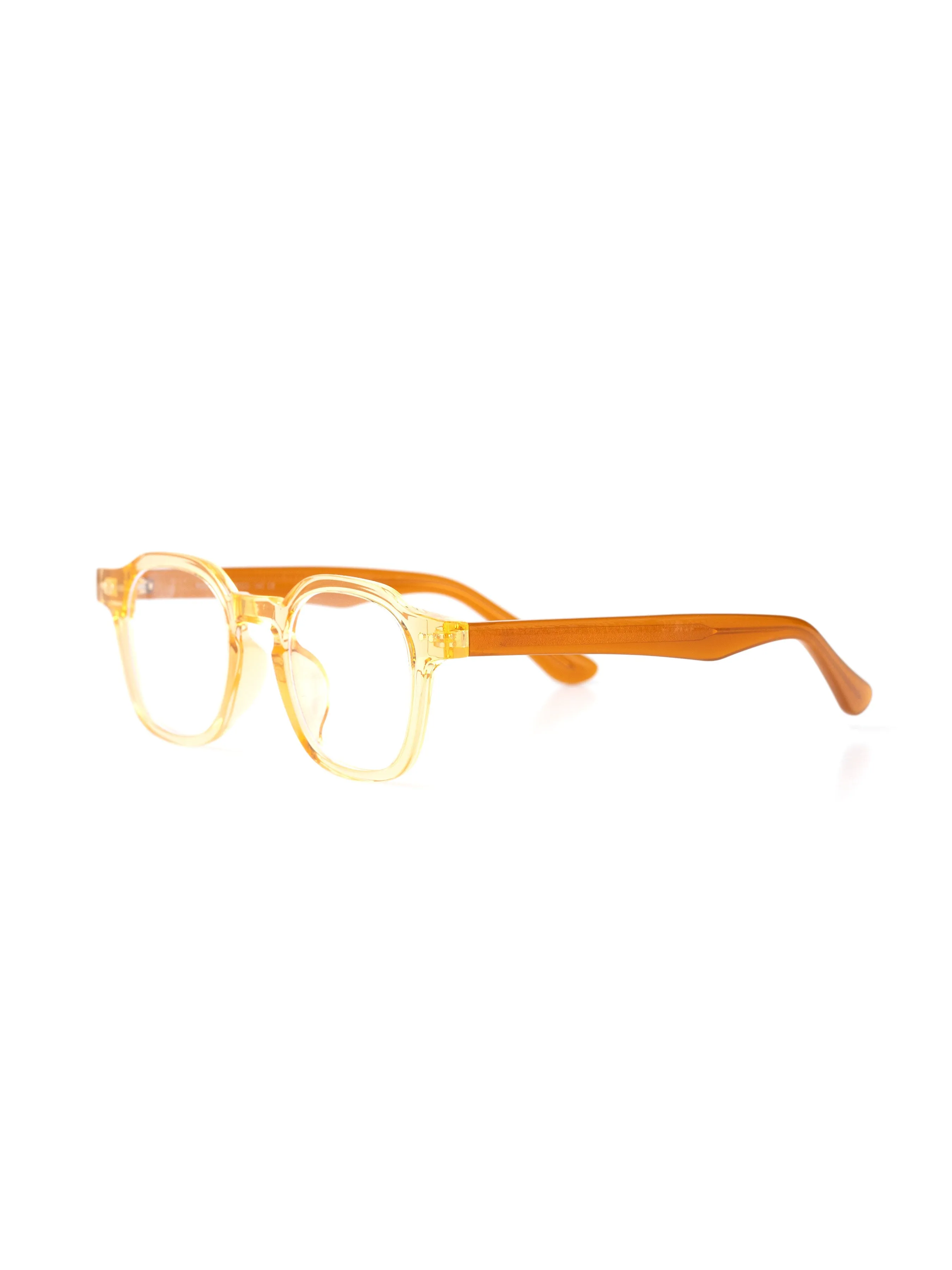 Raphael Acetate Glasses