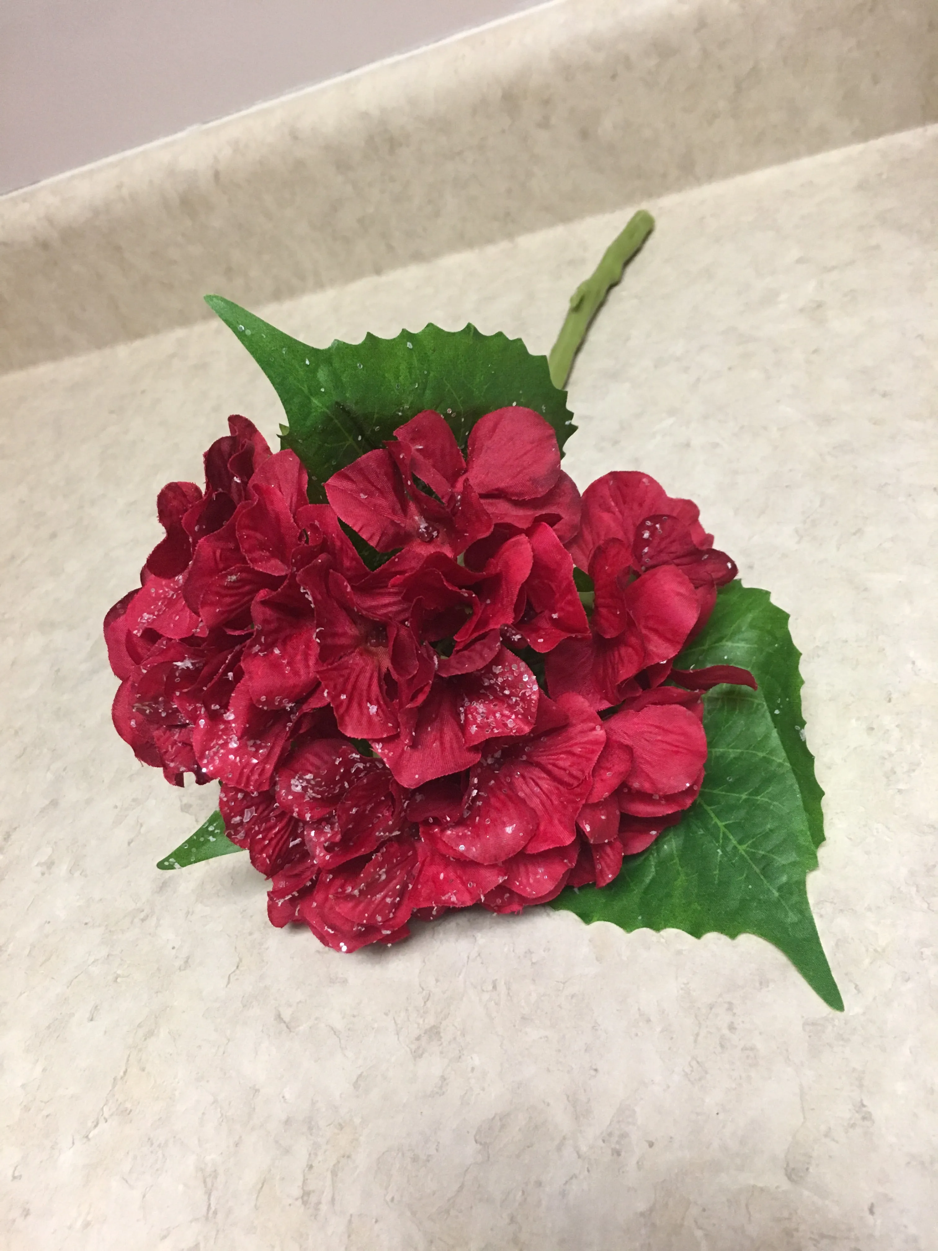 Red Hydrangea Stem