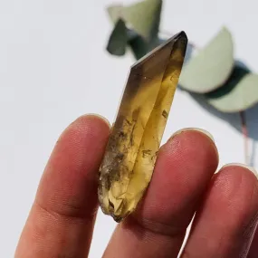 Solar Plexus Activations~ Natural Smoky Phantom Citrine Point From Zambia